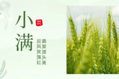 諾?；?| 物迎夏熟，恰人生小得盈滿